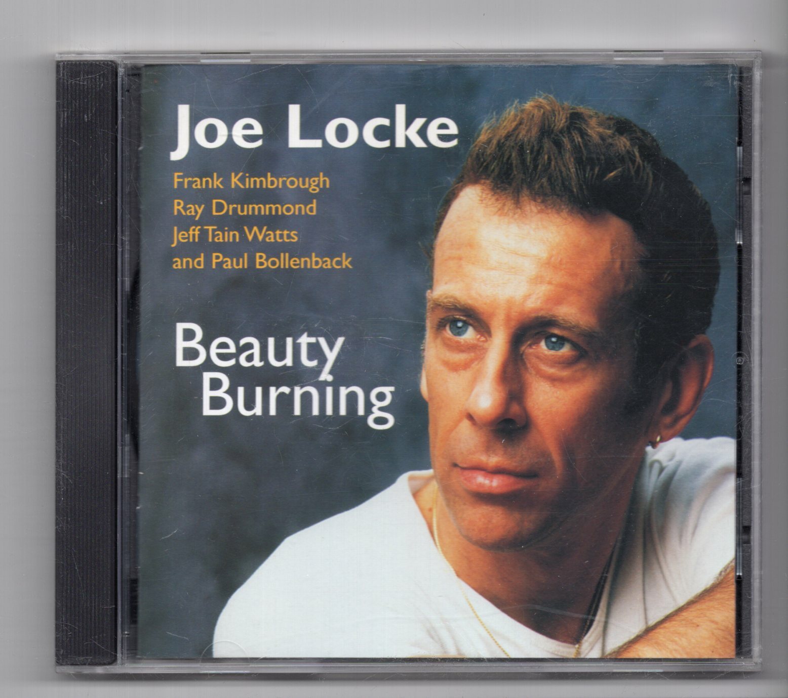 (JX589) Joe Locke, Beauty Burning - 2000 CD