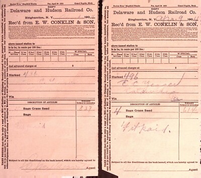Delaware & Hudson Railroad Co. 1904 Binghamton NY Bill of Lading Grass Seed (2)