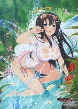 Anime Series Senran Kagura Ryoki Silver Halide Print 127x178mm Collectible