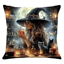 Pagan Cat Themed Cushion Cover - Sale For Our Animal