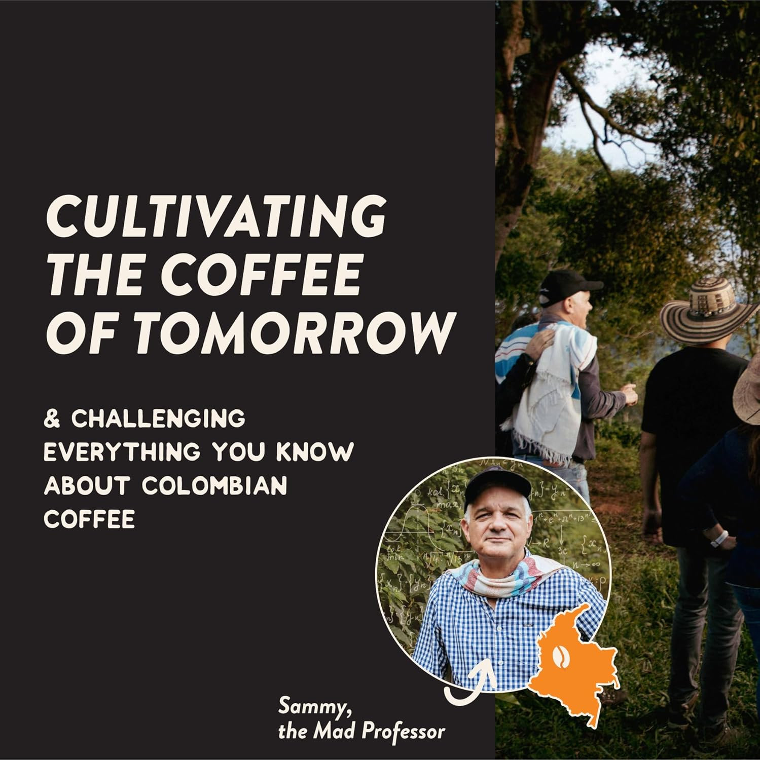 Angelino's Coffee Mad Professor Coffee Pods - Major Colombian Blend, Medium to D