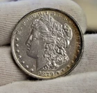 1879  US  Morgan Silver Dollar $ 1 XF (Cleaned, Retoned)