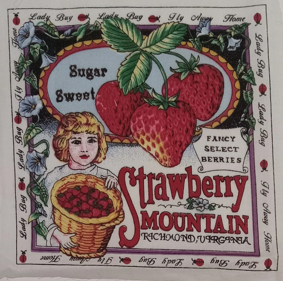 Lot of 6 "Secrets Of The Garden"~ approx 6.5"x6.5" Cotton Fabric Blocks Ecru BG - Image 4 of 4