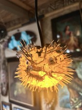 New 5-6 Pufferfish Lamp Wyellow Led Tiki Bar Smokin Tikis Oceanic