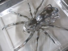 Ranker Hunt Large Phantom Spider 08 Huntsman New Hollow Frog Spider Spider Lures