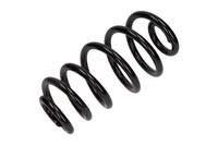 2X Maxgear Fahrwerksfeder Hinten Passend FüR Audi A4 Seat Exeo