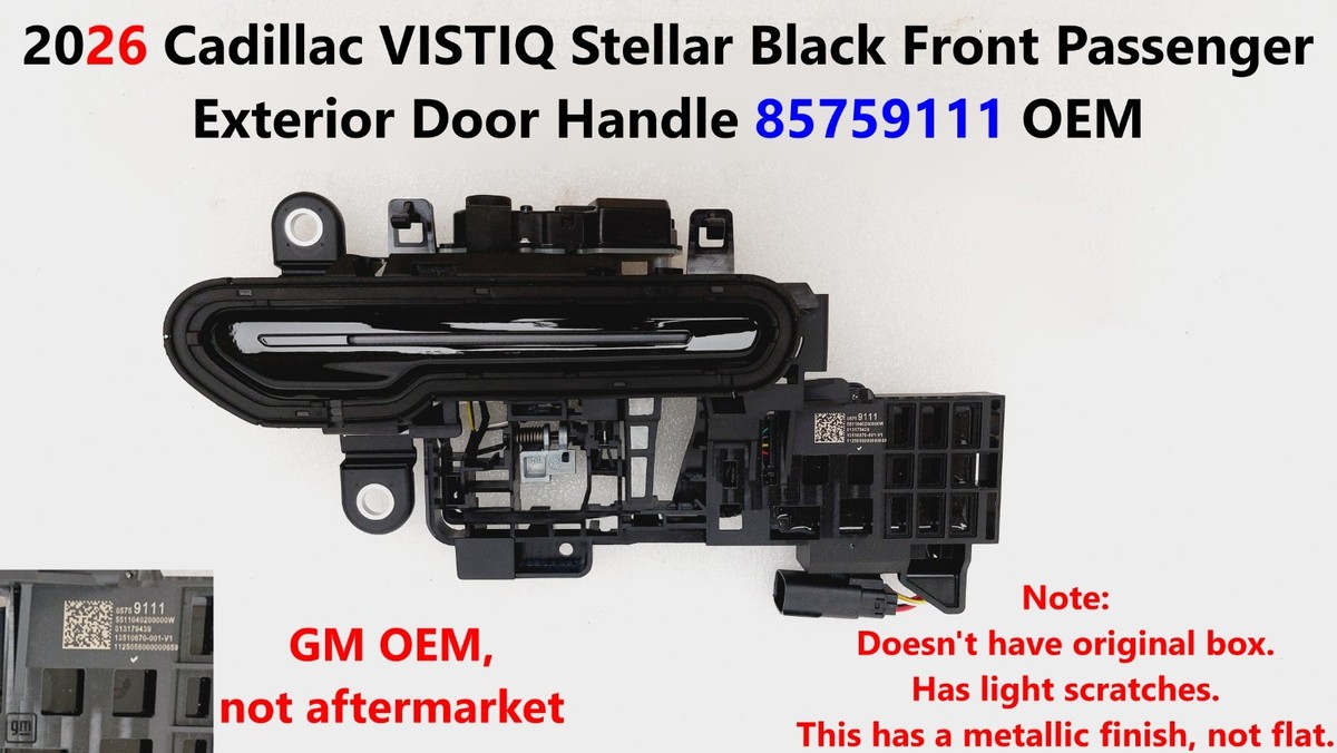 2026 Cadillac VISTIQ Stellar Black Front Passenger Exterior Door