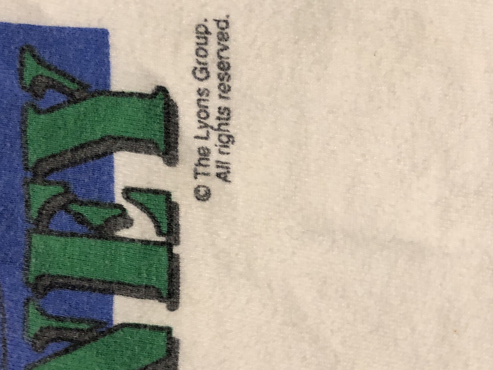 Vintage The Lyons Group Barney Kids Shirt Tubing With Barney