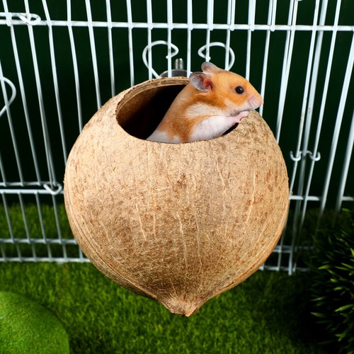 Parakeet Nest Coconut Bird Cage Accessories Bath Breeding Parrot for Yard Garden - Picture 12 of 12