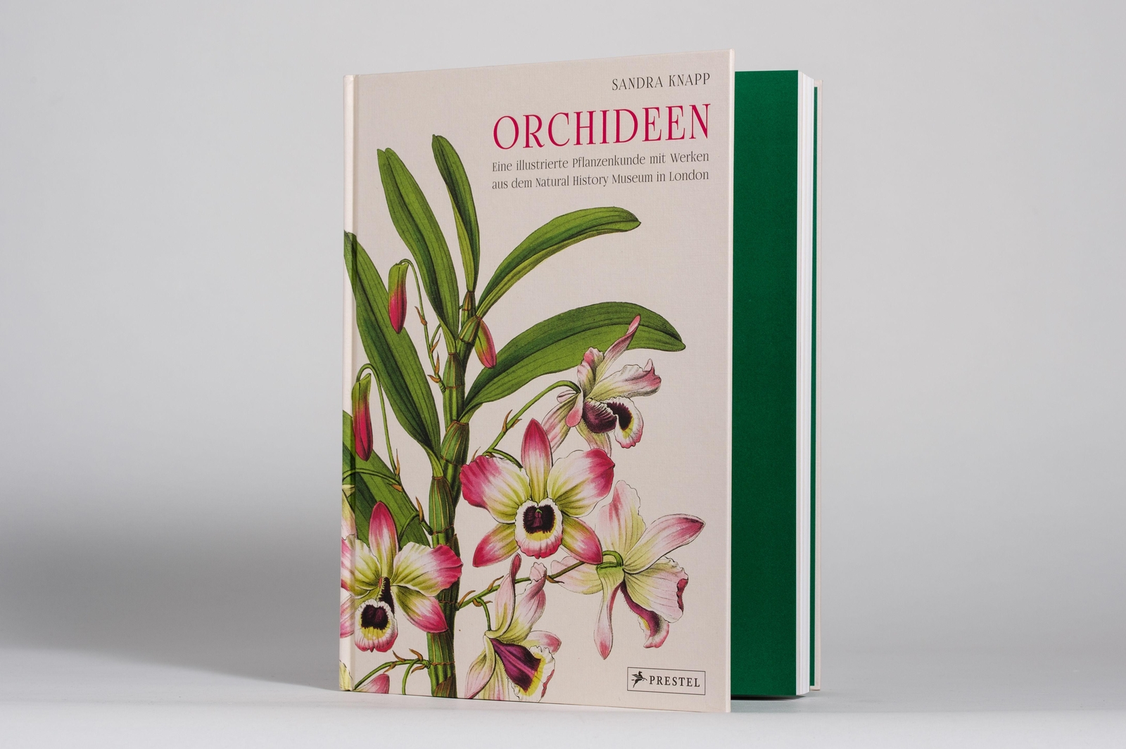 Thumbnail - Orchideen, Sandra Knapp