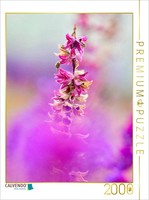 "Calvendo Puzzle An Image From The \"Seeds In Autumn\" Calendar | 2000 Pieces, Fini"