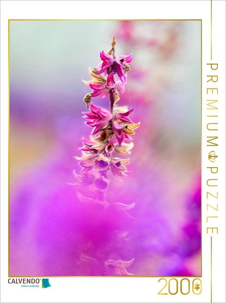 "Calvendo Puzzle An Image From The \"Seeds In Autumn\" Calendar | 2000 Pieces, Fini"-image