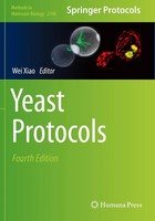 Wei Xiao | Yeast Protocols | Taschenbuch | Englisch (2021) | Xi | Humana