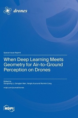 When Deep Learning Meets Geometry for Air-to-Ground Perception on Drones by Dong