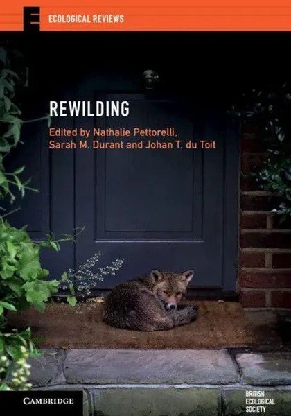 Rewilding | Nathalie Pettorelli (U. A.) | Taschenbuch | Kartoniert / Broschiert-image