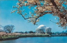 Jefferson Memorial Pan American Airways Unposted Vintage Postcard Washington DC