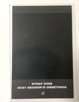 Stray Kids SKZ I.N IN Season's Greetings 2021 Official Polaroid