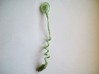 Nyko Worm Light: Kiwi Green Nyko Worm Light: Kiwi Green