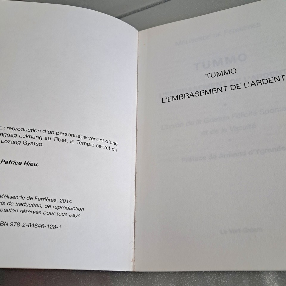 Tummo, l'Embrasement de l'Ardente de Mélisende de Ferrières Livre