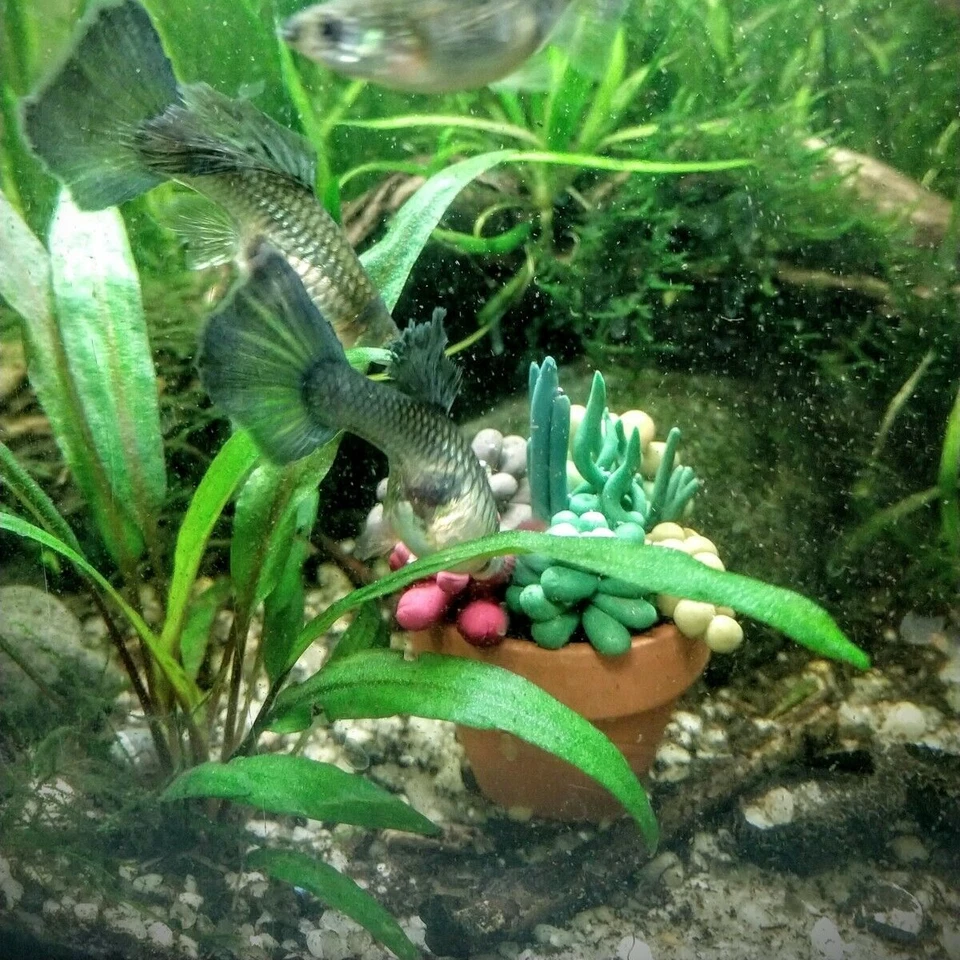 Decoración de maceta suculenta de acuario para divertidas peceras, alevines esconde decoración de cuevas Foto 4 de 4