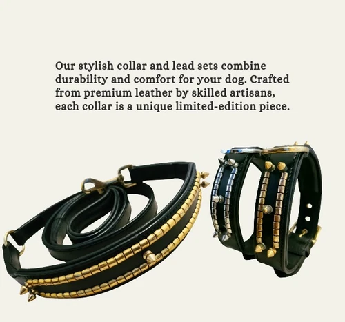 Heavy Duty Stud And Spike Collar And Lead For Dogs Premium Best Grade Leather . - Picture 6 of 11