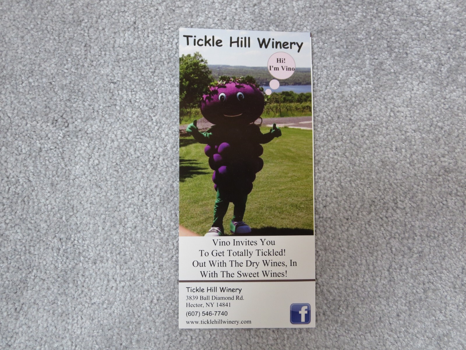 Tickle Hill Winery of Seneca Lake / Finger Lakes NY Brochure, Circa