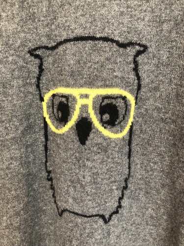 Owl In Eyeglasses Gray 100% Cashmere Sweater Bookish Preppy Librarian Aqua Large - Picture 2 of 14