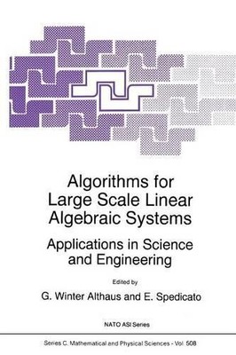 Algorithms for Large Scale Linear Algebraic Systems: - 9789048150045