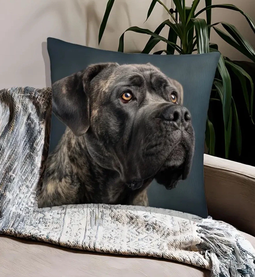 Funda de almohada decorativa Cane Corso Italiano Mastín Perro Retrato Foto 3 de 4
