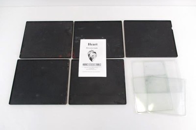 Home Science Tools Herz Dissection Set Mit Schalen & Anleitung Manuell 8+