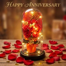 Forever Rose Flower Glass Dome Gift For Women Birthday Valentines Home Decor UK