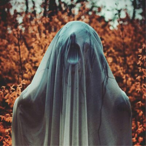 Noctambulist Noctambulist I: Elegieën (CD) Альбом в цифровом формате