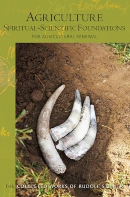 Agriculture, Spiritual-Scientific Foundations by Rudolf Steiner (Paperback Book)