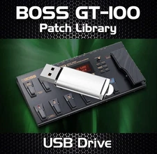 BOSS GT-100 Multi-Effects Guitar Processor: 5,500+ Patch Tone Effects on USB
