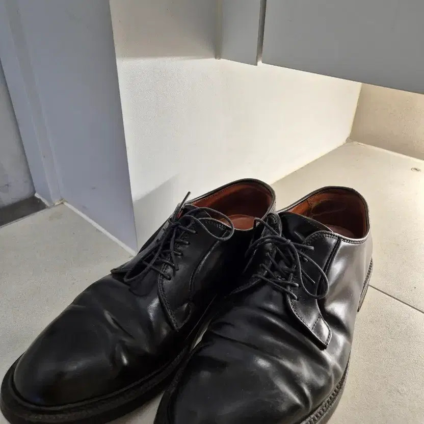 Alden 9901 Black Shell Cordovan Plain Toe Blucher | Alden Model