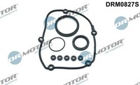Dichtungsset, SteuergehäUse Dr.Motor Automotive DRM0827S Audi 022103831B