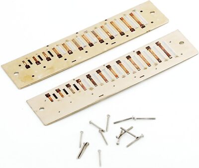Easttop FORERUNNER 2.0 reed plate reed plate for harmonica of Forerunner 2.0