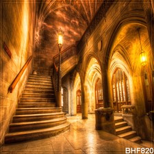 10'x10' Cityscape Computer-painted Vinyl Scenic Photo Background Backdrop BHF820