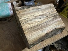 Extra Large Spalted Elm Bowl Blank Wood for Turning Woodturning Wood Carving