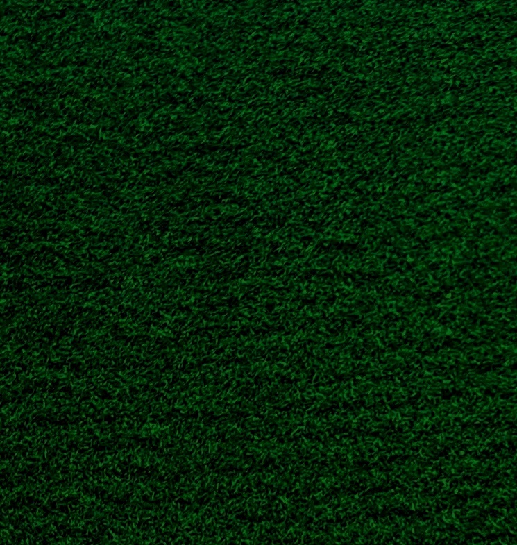 Picture 22 of 35