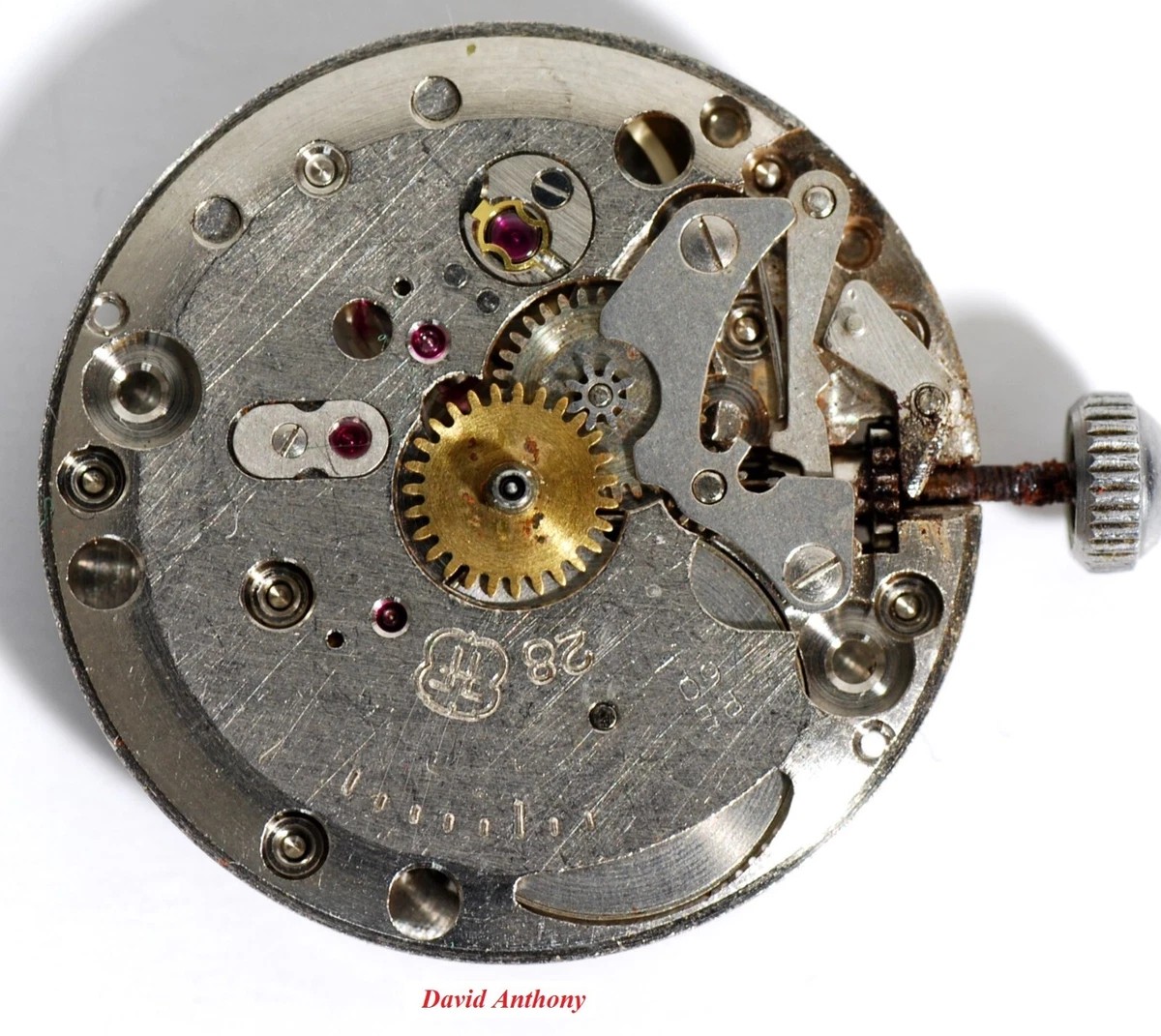 Fhf 2025 watch movement