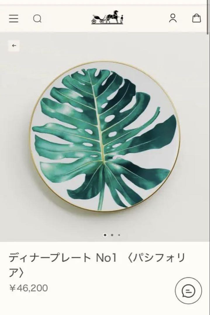 エルメス ディナープレート No1 モンステラの葉 デザイン 食器 エルメス ディナープレート No1 モンステラの葉 デザイン 食器