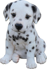 Dalmatian Puppy Statue