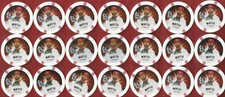 JASON MOTTE 2013 Topps Chipz lot x 22 Poker Chips w/ Silver ST LOUIS CARDINALS
