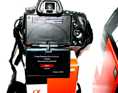 Sony SLT-A55V, Digital Camera, 16.2mp with Sony Battery Charger | eBay