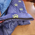 Foto 12 di 24