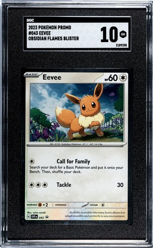 Eevee graded SGC 10 for sale on eBay