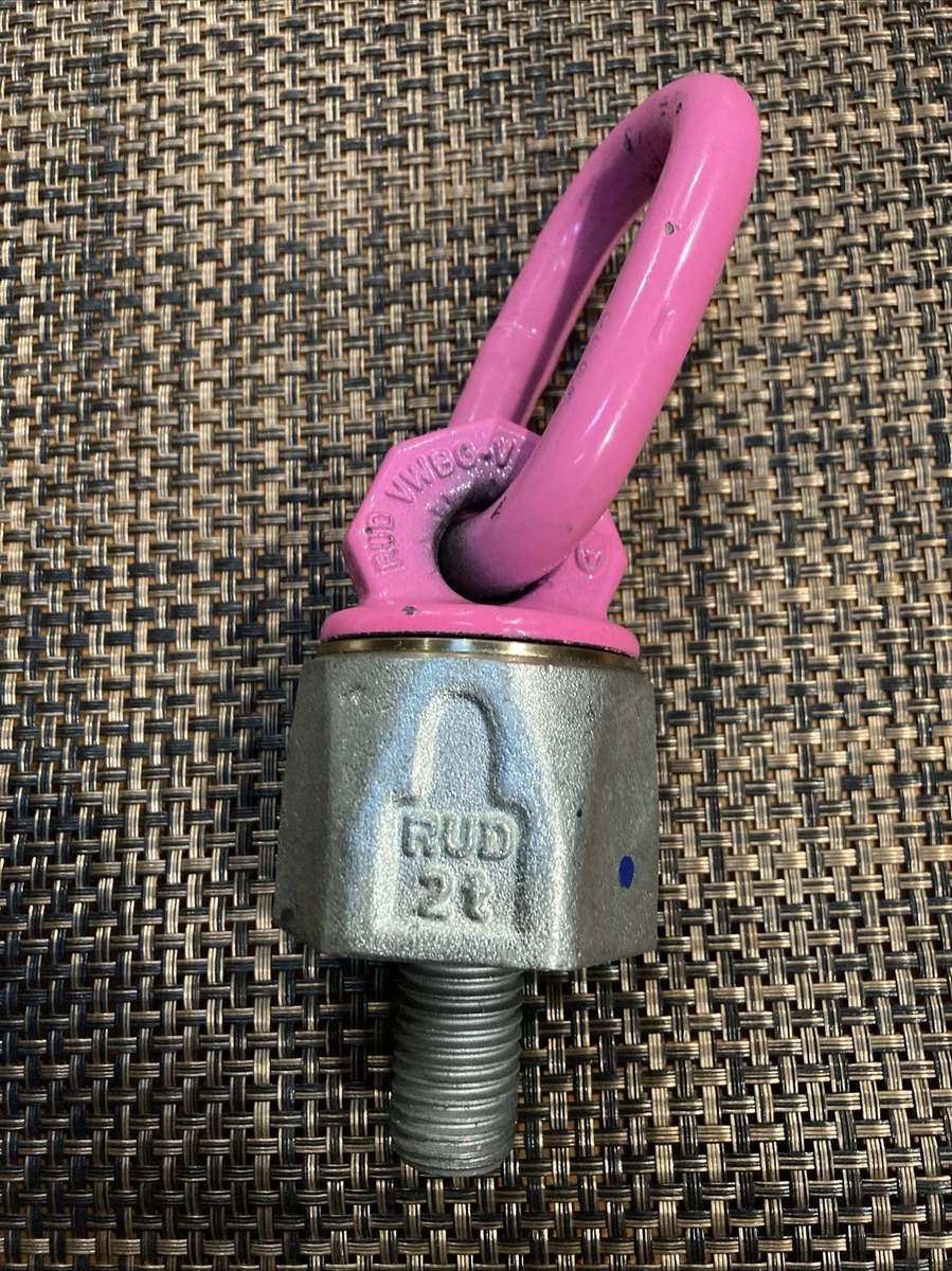 Top 158+ rud chain hoist ring best awesomeenglish.edu.vn