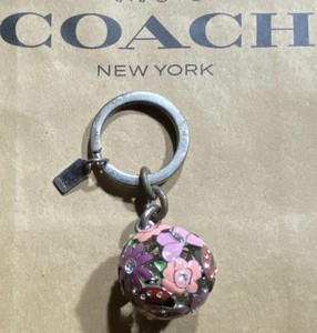 Coach Ladybug Keychain | eBay