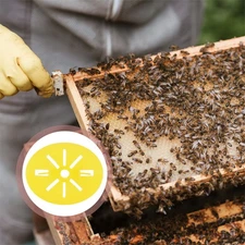 15 Pcs Bee Supplies and Equipment Hive Tool Escape Entrance Gate